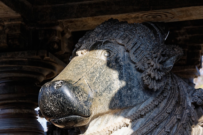 Halebid-Temple de Vishnou-010